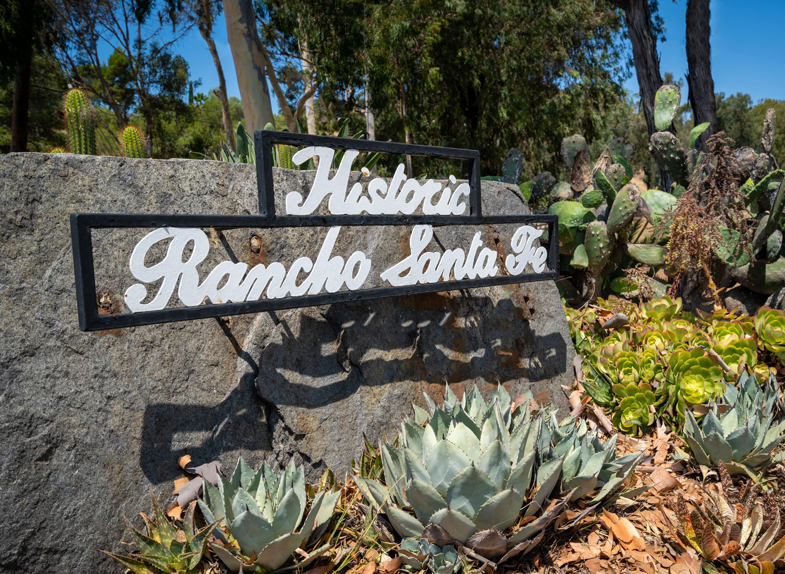 Rancho Santa Fe Luxury Real Estate